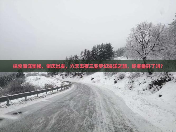 肇庆前往三亚海昌梦幻海洋不夜城六日游