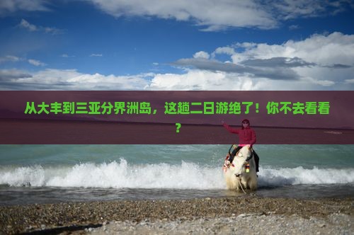 大丰出发三亚分界洲岛二日游