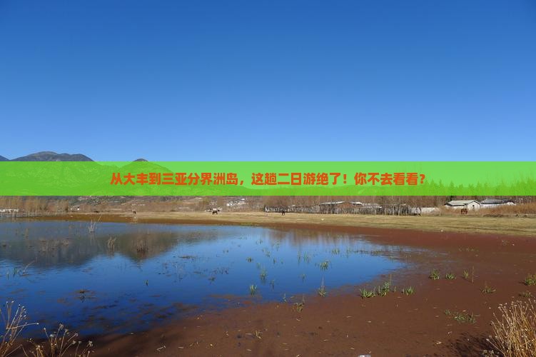大丰出发三亚分界洲岛二日游