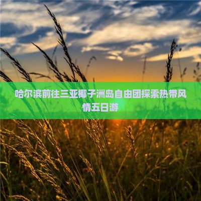 哈尔滨前往三亚椰子洲岛自由团