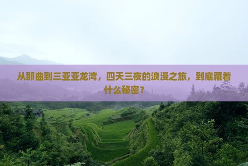 那曲去三亚亚龙湾国际玫瑰谷四日游