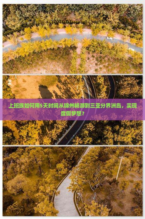 锦州前往三亚分界洲岛旅游