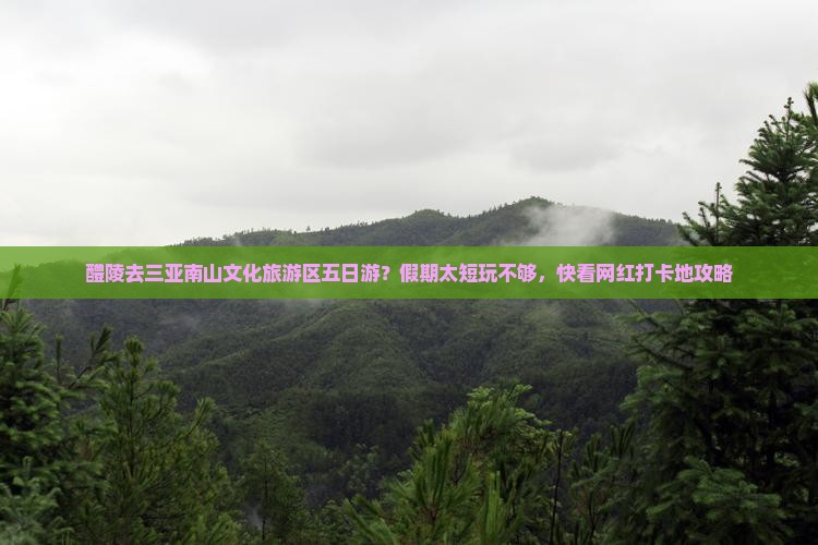 醴陵去三亚南山文化旅游区五日游