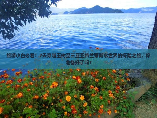 玉树前往三亚亚特兰蒂斯水世界七日游