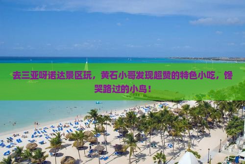 黄石去三亚呀诺达景区旅游小吃