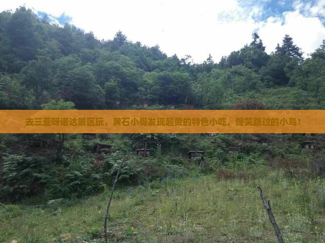 黄石去三亚呀诺达景区旅游小吃