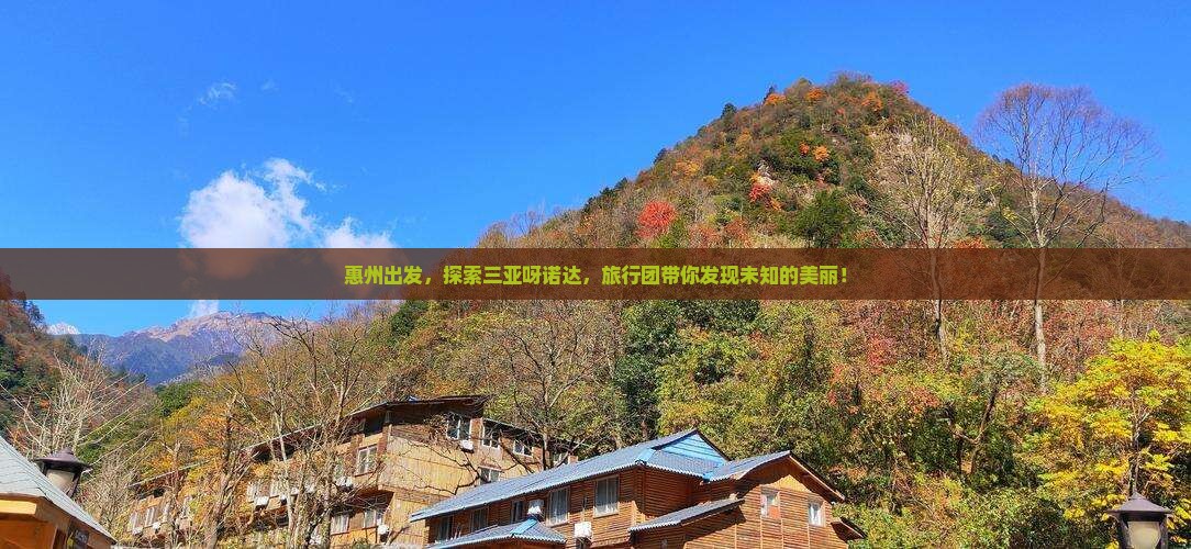 惠州去三亚呀诺达景区旅行社
