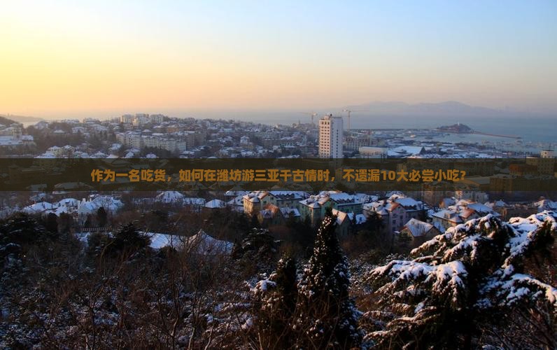 潍坊去三亚千古情旅游小吃