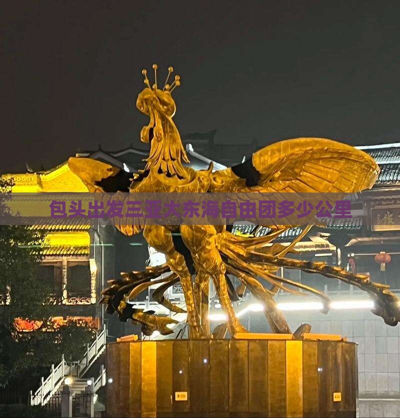 包头出发三亚大东海自由团