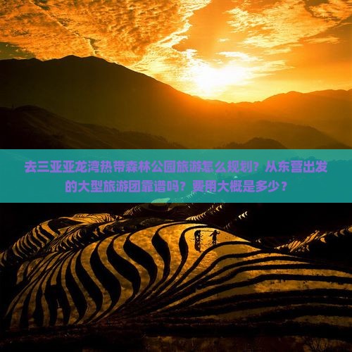 东营出发三亚亚龙湾热带森林公园大型旅游团
