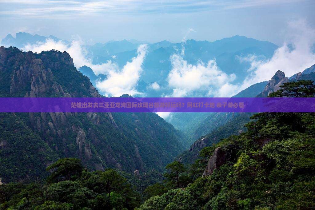楚雄出发三亚亚龙湾国际玫瑰谷必玩地