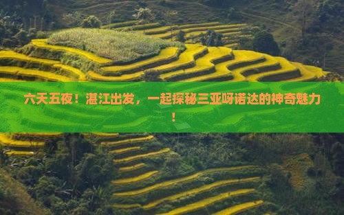 湛江前往三亚呀诺达景区六日游