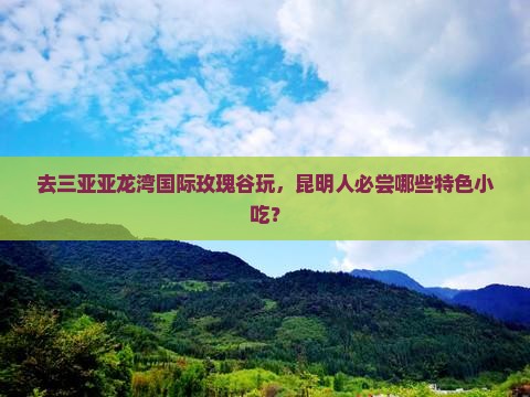 昆明前往三亚亚龙湾国际玫瑰谷旅游小吃