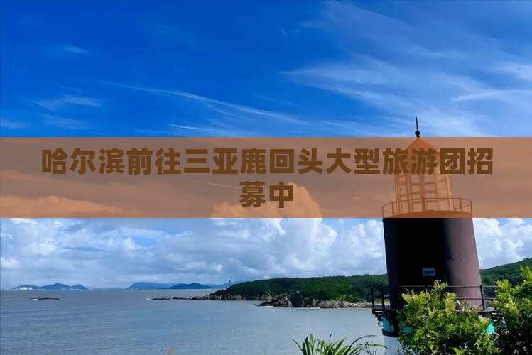 哈尔滨前往三亚鹿回头大型旅游团
