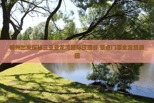 郴州前往三亚亚龙湾国际玫瑰谷自由团