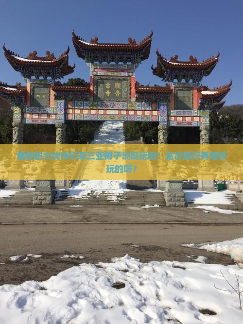 烟台去三亚椰子洲岛大型旅游团