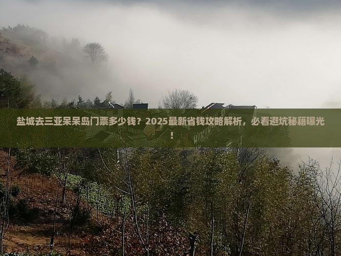 盐城去三亚呆呆岛门票