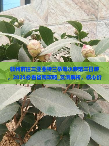 赣州前往三亚亚特兰蒂斯水族馆三日游
