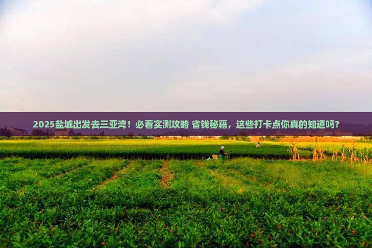 盐城去三亚三亚湾旅游打卡点