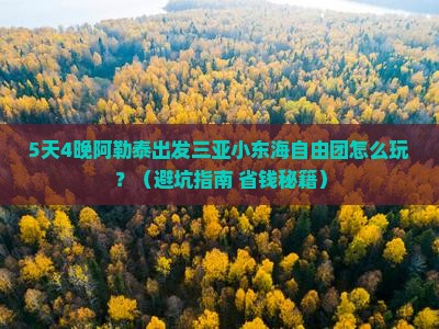 阿勒泰出发三亚小东海自由团