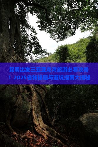 昆明出发三亚亚龙湾旅游网红地点