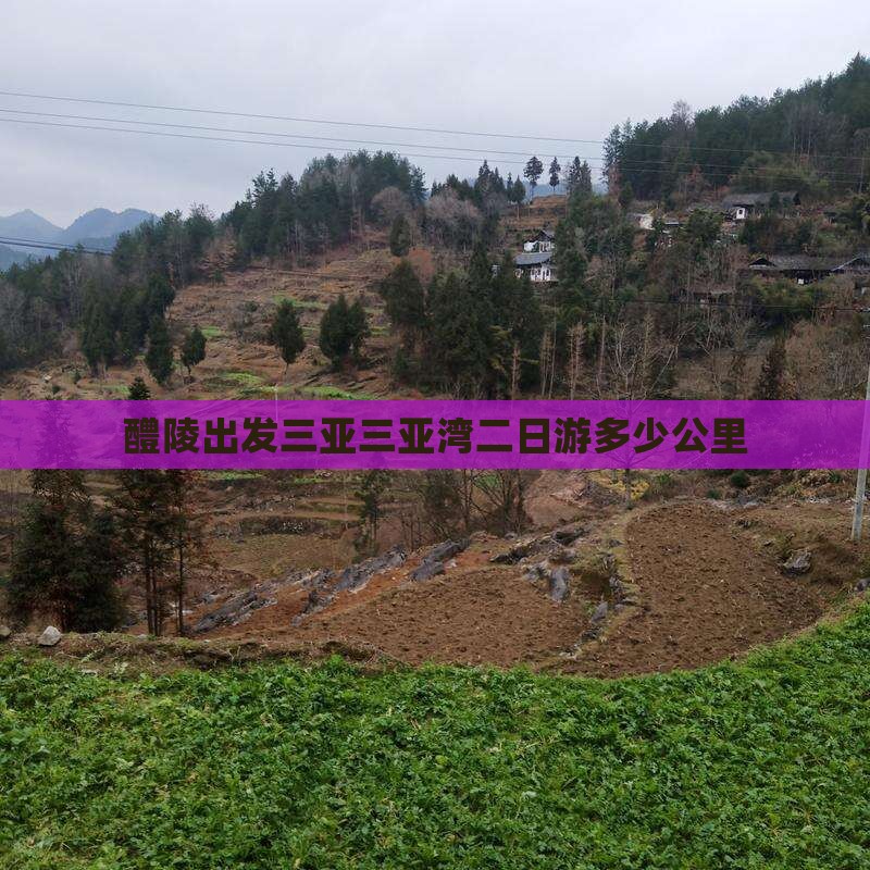 醴陵出发三亚三亚湾二日游