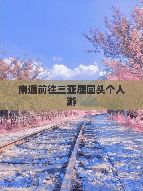 南通前往三亚鹿回头个人游