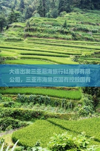 大连出发三亚后海旅行社