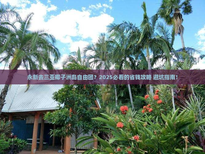永新去三亚椰子洲岛自由团