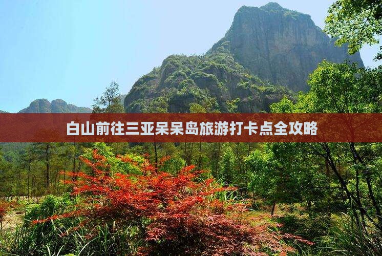 白山前往三亚呆呆岛旅游打卡点