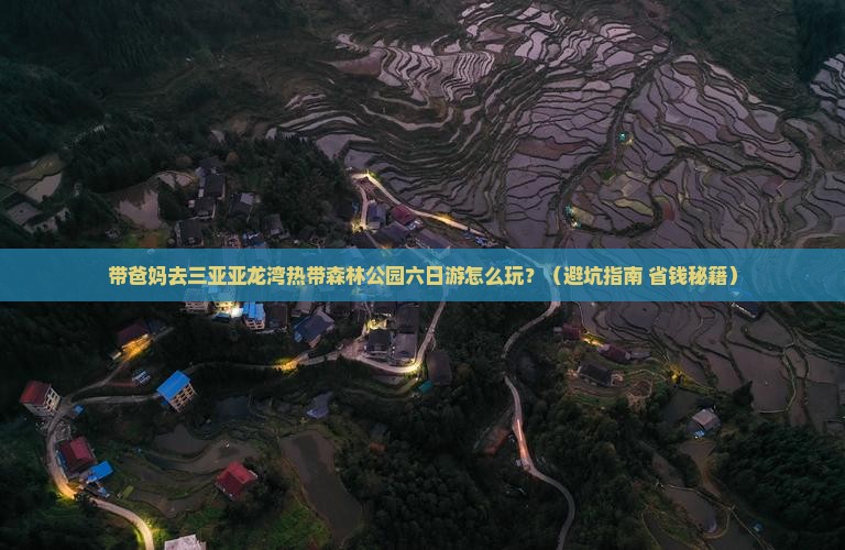 益阳去三亚亚龙湾热带森林公园六日游