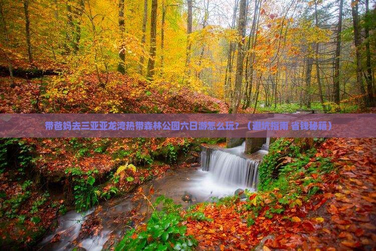 益阳去三亚亚龙湾热带森林公园六日游