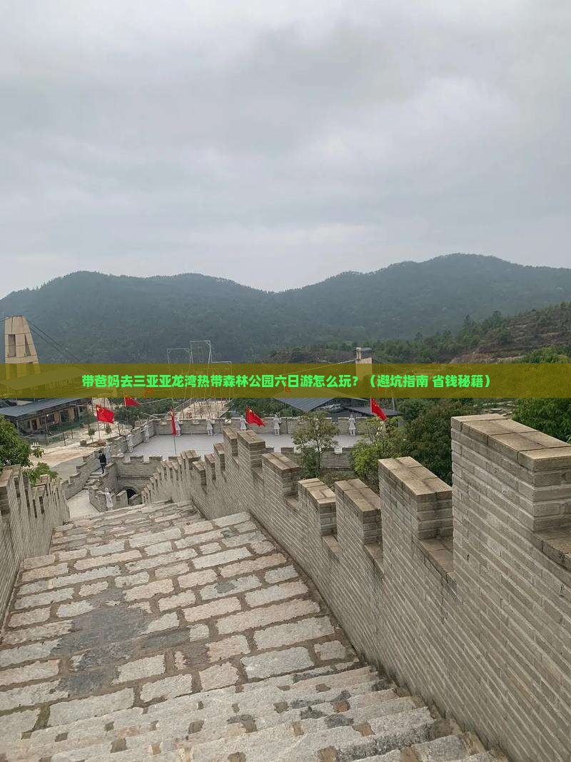 益阳去三亚亚龙湾热带森林公园六日游