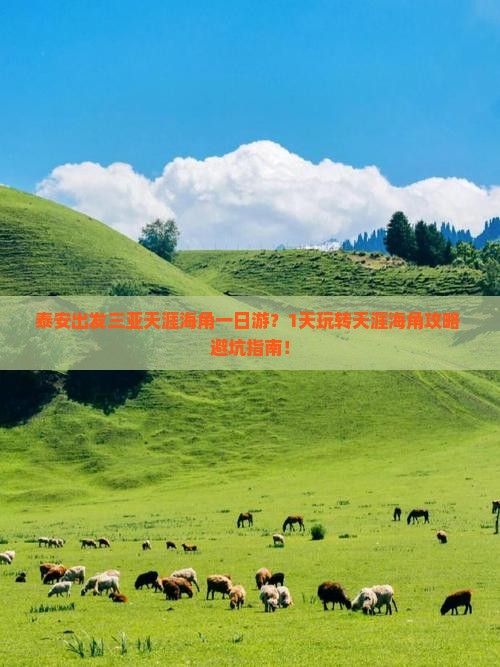 泰安出发三亚天涯海角一日游