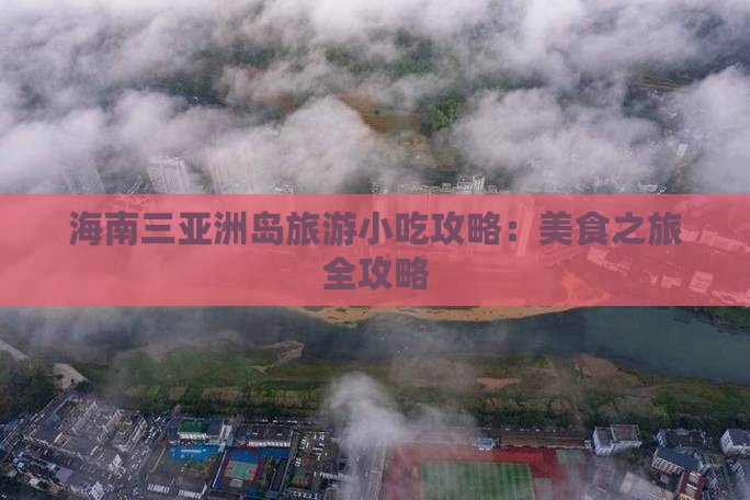 海北前往三亚椰子洲岛旅游小吃