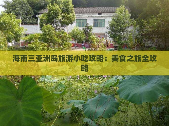 海北前往三亚椰子洲岛旅游小吃