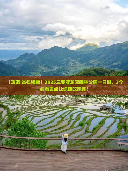 哈密去三亚亚龙湾热带森林公园一日游