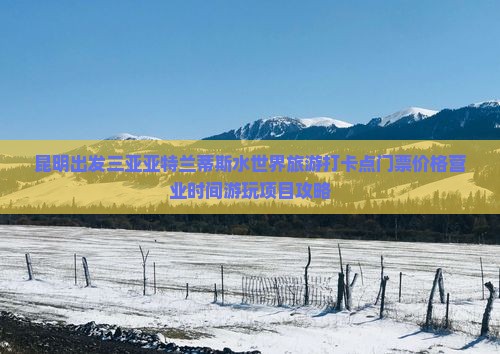 昆明出发三亚亚特兰蒂斯水世界旅游打卡点