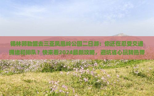 锡林郭勒盟去三亚凤凰岭公园二日游