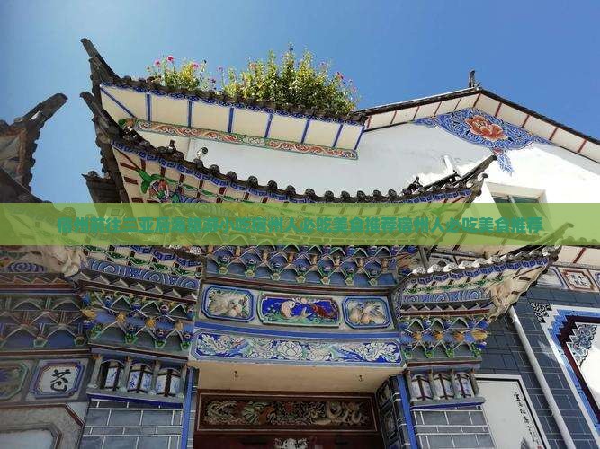 宿州前往三亚后海旅游小吃