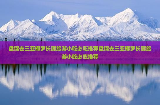 盘锦去三亚椰梦长廊旅游小吃