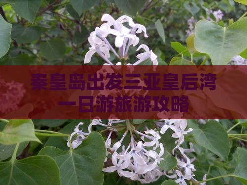 秦皇岛出发三亚皇后湾一日游