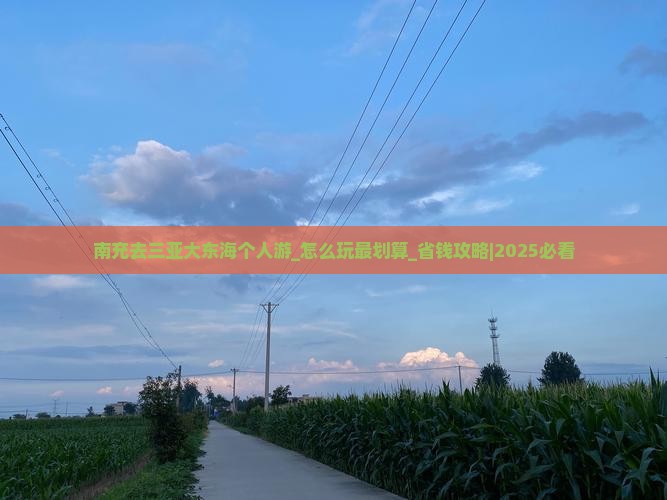 南充去三亚大东海个人游