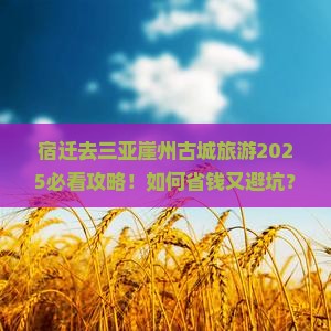 宿迁去三亚崖洲古城旅游