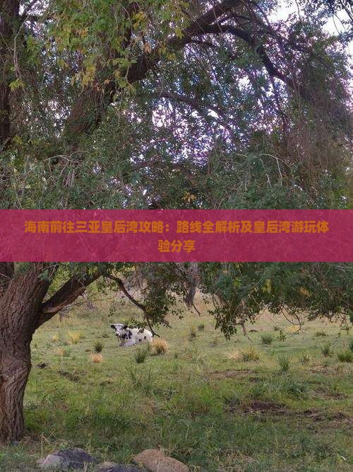 海南前往三亚皇后湾攻略