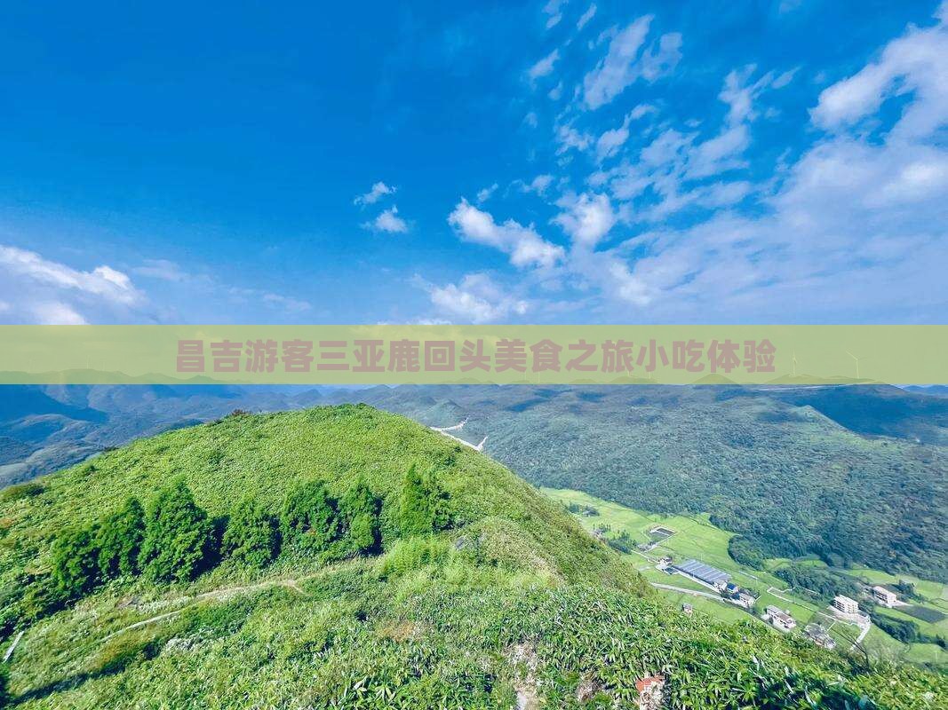 昌吉去三亚鹿回头旅游小吃