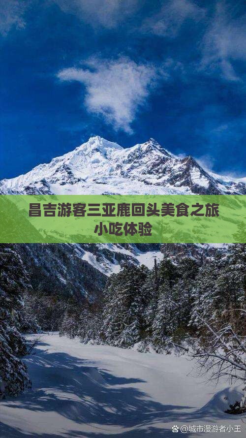 昌吉去三亚鹿回头旅游小吃
