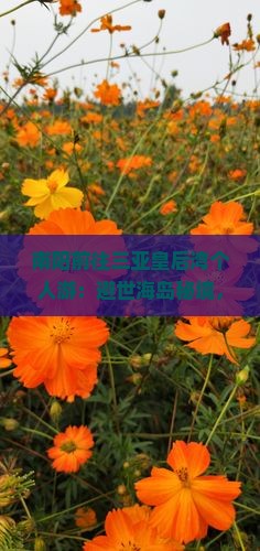 南阳前往三亚皇后湾个人游