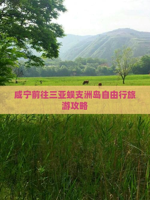 咸宁前往三亚蜈支洲岛哪里玩