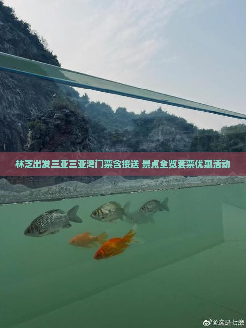林芝出发三亚三亚湾门票